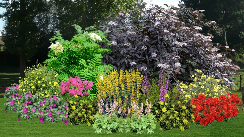 Creer Un Massif De Fleurs Vivaces - Maison Design - Apsip.com Creer Un Massif De Fleurs Vivaces - Maison Design - Apsip.com